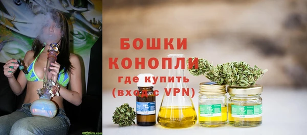 a pvp Ельня