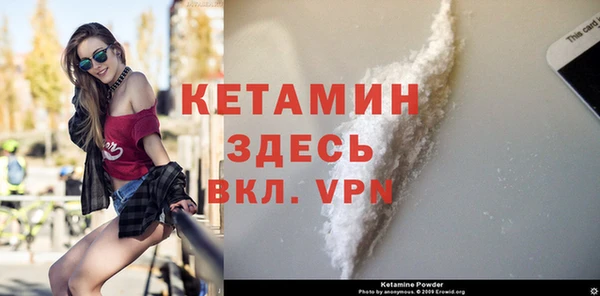 индика Елабуга