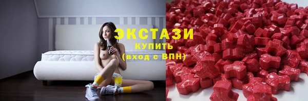 индика Елабуга