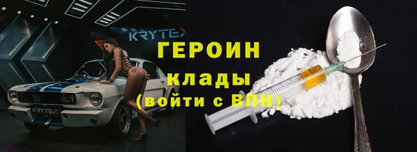 индика Елабуга