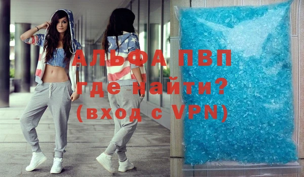 индика Елабуга