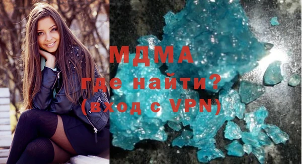 индика Елабуга