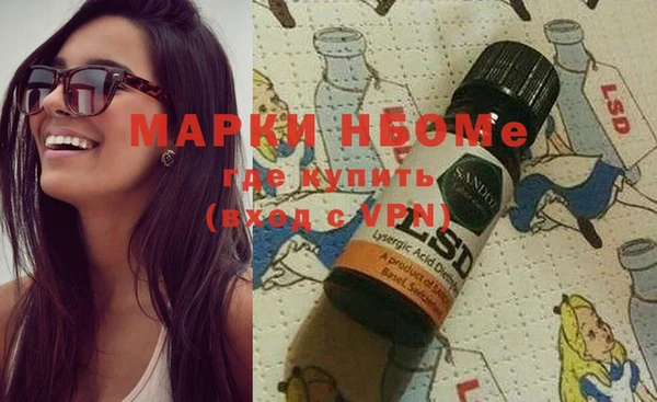 индика Елабуга