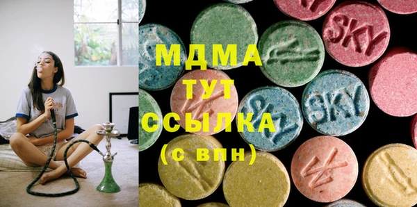 индика Елабуга