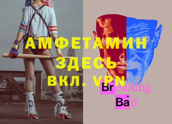 индика Елабуга