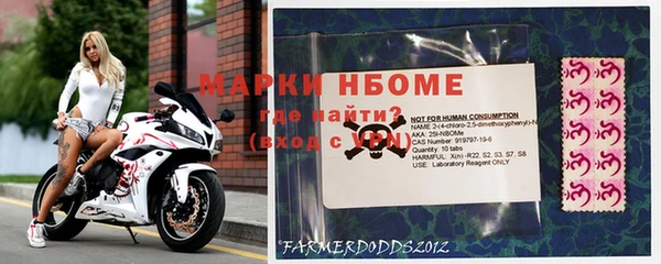 индика Елабуга