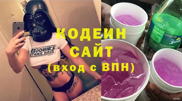 индика Елабуга