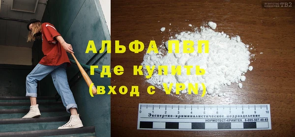 индика Елабуга