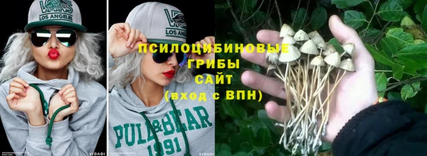 индика Елабуга