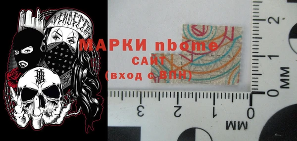 индика Елабуга