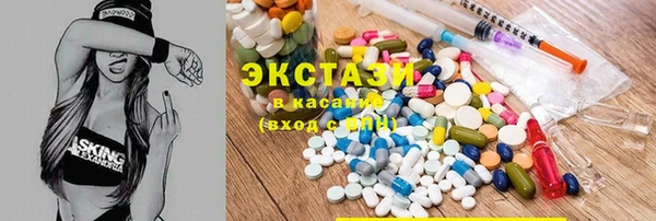 индика Елабуга