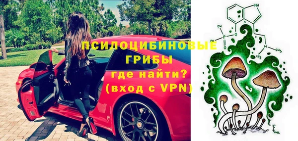 a pvp Ельня