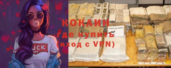 a pvp Ельня