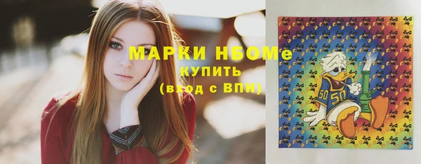 индика Елабуга